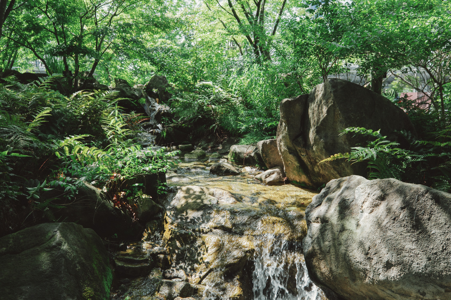 ㈱岐阜造園